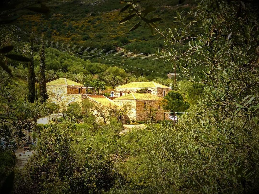 Tsivouli Accommodation Lithakia  エクステリア 写真