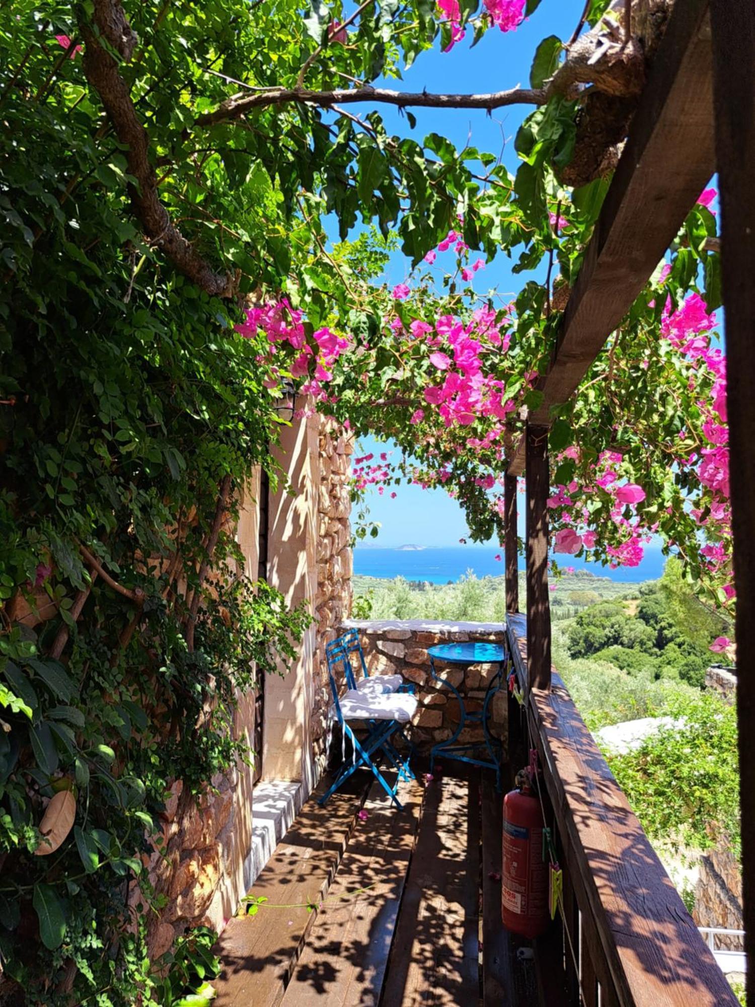 Tsivouli Accommodation Lithakia  エクステリア 写真