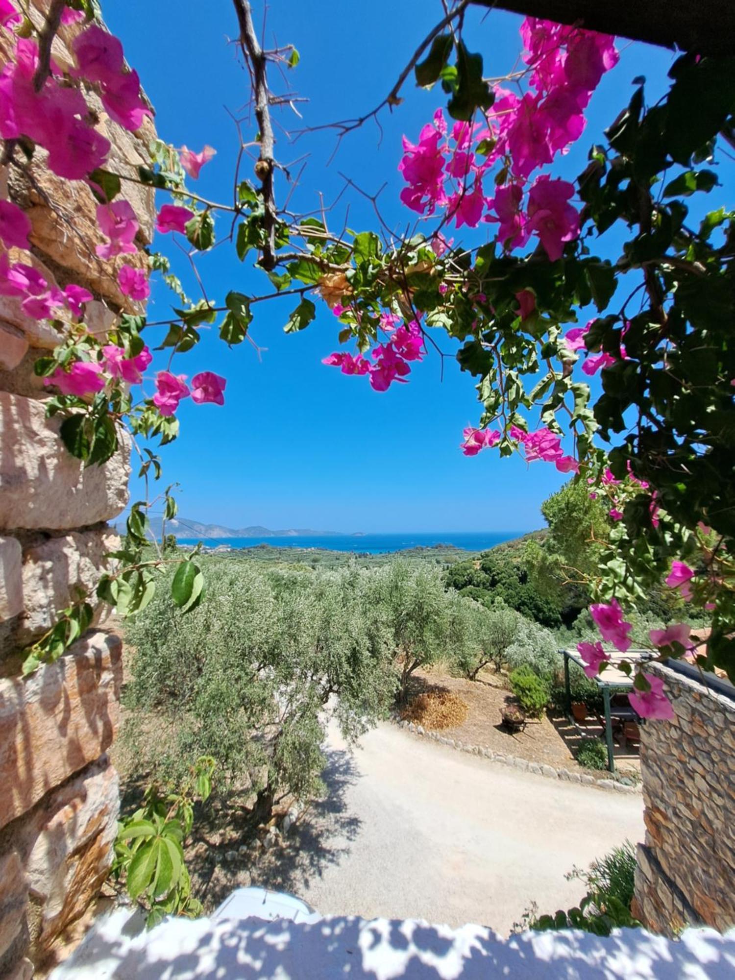 Tsivouli Accommodation Lithakia  エクステリア 写真